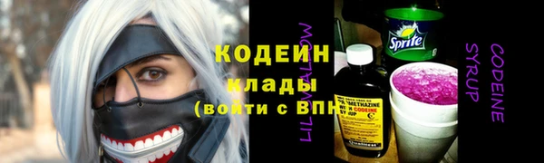СК Пересвет