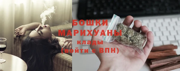 СК Пересвет