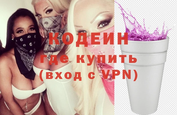 СК Пересвет