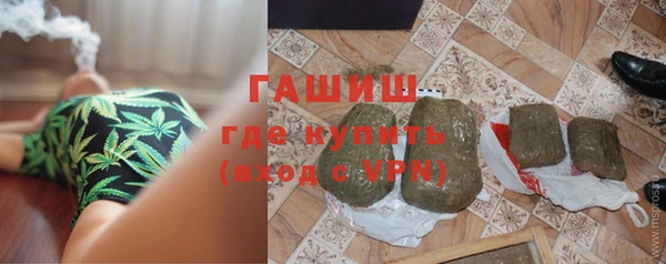 СК Пересвет
